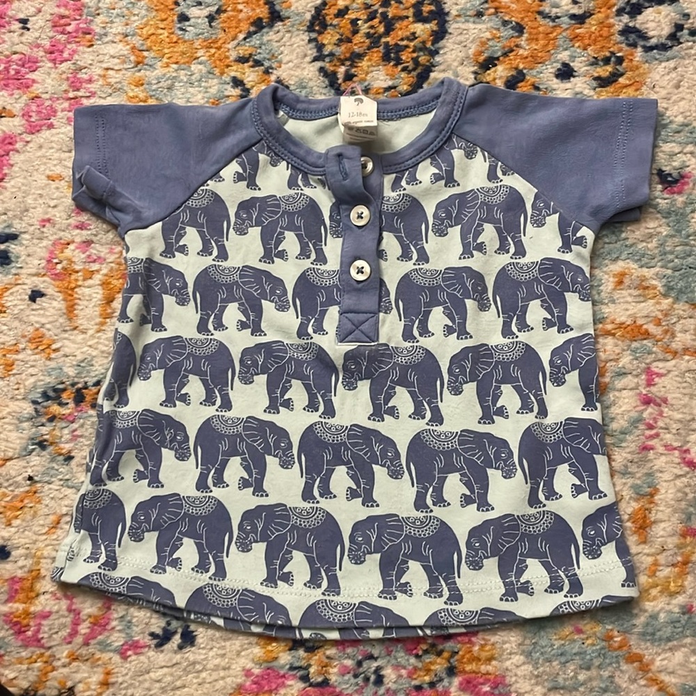 Kate Quinn, blue elephant shirt